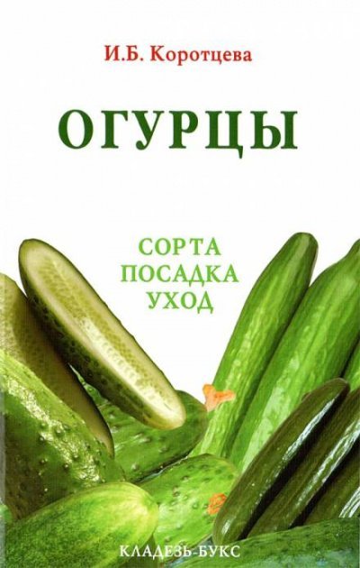 Огурцы: сорта, посадка, уход