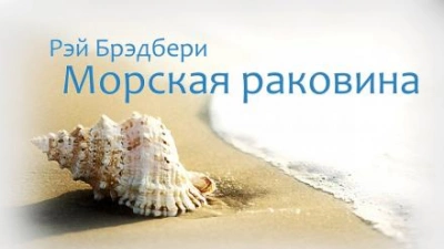 Морская раковина