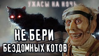 Не бери бездомных котов в квартиру!