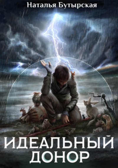 Академия. Книга 2, Герой